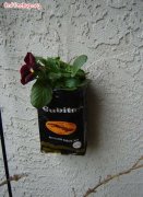 Why don't you just throw away the coffee beans when you finish the bag? It can also be used to grow flowers!