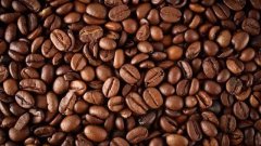 Introduction of sixteen coffee beans from different producing areas
