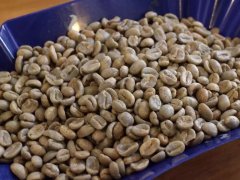 A brief introduction to the graded baking degree of the characteristics, flavor and taste of various famous coffee beans from the main coffee producing areas in the world