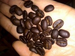 Are golden manning coffee beans necessarily not very sour?