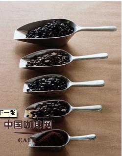 咖啡的种类