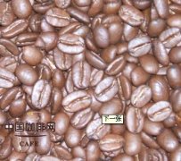 How to bake coffee beans by drum baking and hot air baking