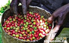 Why do so few people drink coffee in Africa?