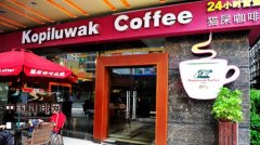 Different brands of Kopi Luwak use coffee beans excreted from civet feces.