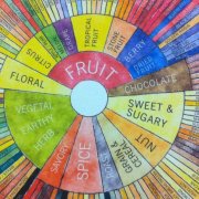 Learning essentials of SCAA Coffee Flavor Wheel the origin of coffee flavor wheel