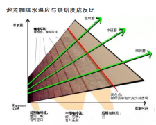 Key factors of SCAA Coffee extraction Water temperature, time and Water flow