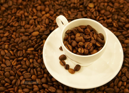 Coffee Flavor Wheel-World's Third Wave of Coffee Aesthetics