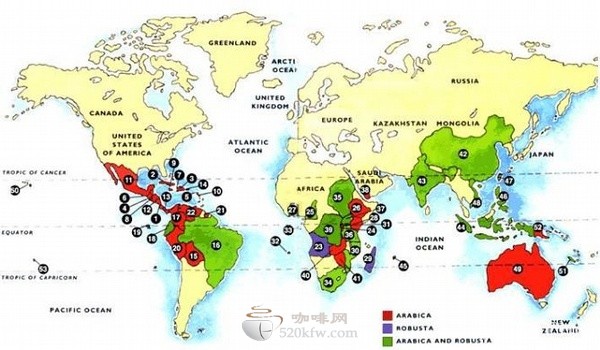 Coffee beans from 53 producing areas-enough to make you memorable