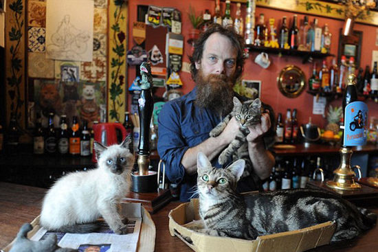 If the cat cafe explodes, come and see him. There is a cat bar in England.