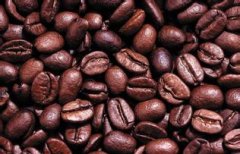 Introduction to the types of coffee beans-- Nicaraguan coffee beans with high quality coffee planting Sal