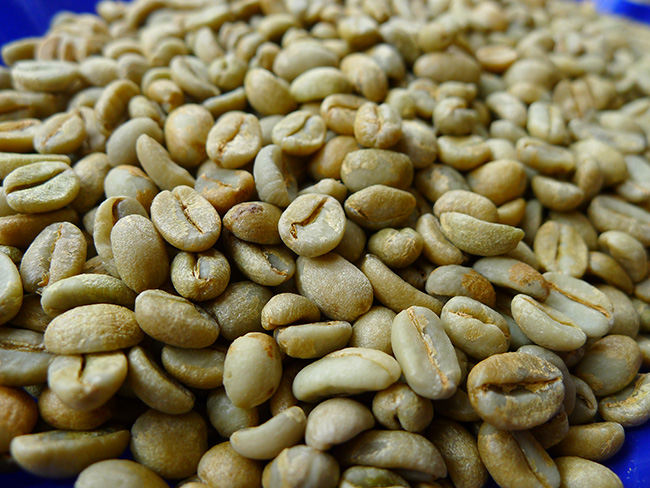 Coffee beans Sumatra Mantenin Coffee beans Origin of Asian Coffee beans