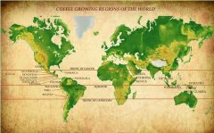 Where do the major producing countries and their famous coffee bean producing areas produce coffee? Where is the coffee?