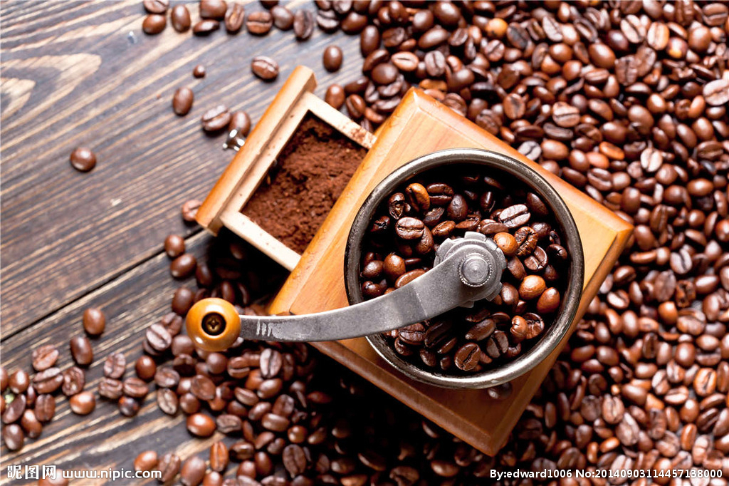 The type of bean grinder how to choose the variety of bean grinder