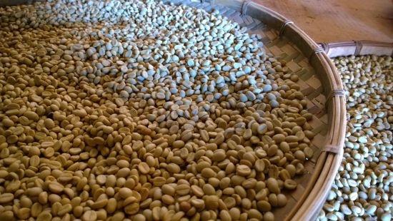 Make your own fresh coffee beans, pick raw beans, roast raw beans.