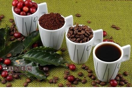 The species of Arabica beans, the classification of Arabica beans, coffee beans, Arabica.