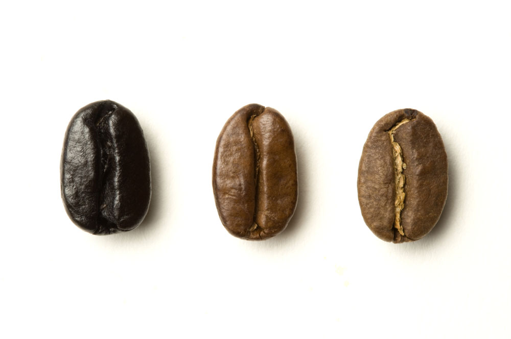 Mutants of coffee bean bourbon family gene mutant Kenya yellow bourbon Kaddura