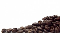 The origin of Jamaican boutique coffee introduces the uniqueness of Jamaican boutique coffee.