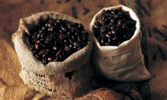 Yunnan boutique coffee is a kind of beverage crop with high economic value. Yunnan boutique coffee is characterized by cloud.