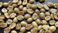 Kenya Fine Coffee Raw Bean Kenya AA green bean Fine Coffee Flavor