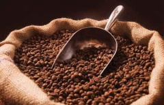 Indonesia Java Robusta raw beans Indonesia Java Robusta Java boutique coffee