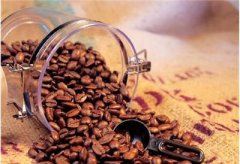 Indonesia Java Robusta raw beans Indonesia Java Robusta Java coffee beans Java coffee coffee