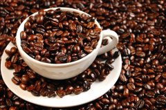 The influence of the flavor of coffee powder and coffee beans on the difference between freshly ground coffee beans and instant coffee powder