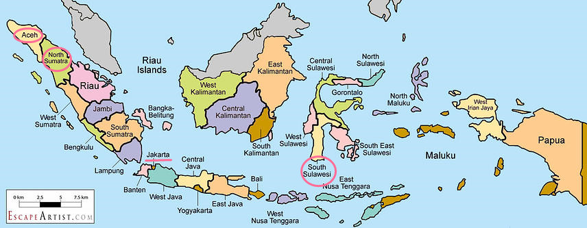 The main producing area of Indonesian coffee-Sulawesi Indonesian Coffee