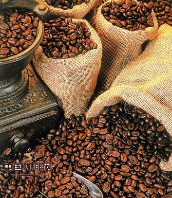 Blue Mountain Coffee Jamaica Blue Mountain Coffee Bean Export Blue Mountain Coffee Export