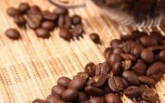 Introduction of Fine Coffee beans-- Ames King Mantenin Fine Coffee Manteau Coffee Variety