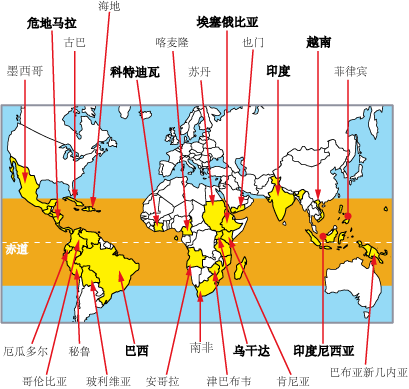 Coffee beans, Latin America, Central and South America, South American coffee.