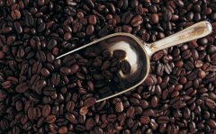 A brief introduction to Fine Coffee beans-- Kenya AA Fine Coffee Kenny Coffee has a unique taste