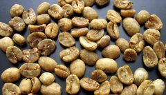 Ethiopian Coffee introduces the characteristics of Yega Xuefei Coffee in Yega Xuefei area