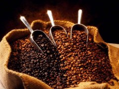 Ethiopian coffee introduces the characteristics of Ethiopian coffee Ethiopian coffee taste
