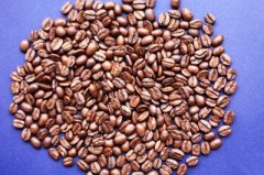Boutique coffee introduction, Kenya's best boutique coffee Kenya AA coffee Kenya bean shape