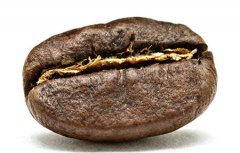 Introduction to the origin of boutique coffee beans the characteristics of Salvadoran coffee