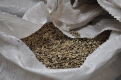 Experience of roasting raw beans of Panamanian coffee how do Panamanian beans are baked? Roasting heart of coffee beans
