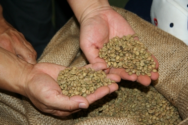 Ethiopia washes cooked beans of grade G2 boutique coffee in Yega Xuefei YCFCU Dama Cooperative
