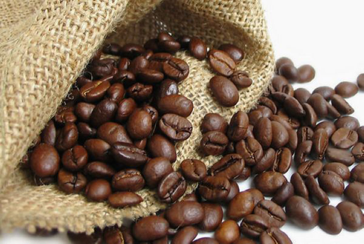 China Coffee Network recommends Panama Poquet Caesar Louis Manor washed fine coffee cooked beans