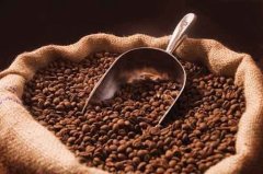 Introduction of New Guinea Fine Coffee the taste characteristics of New Guinea coffee