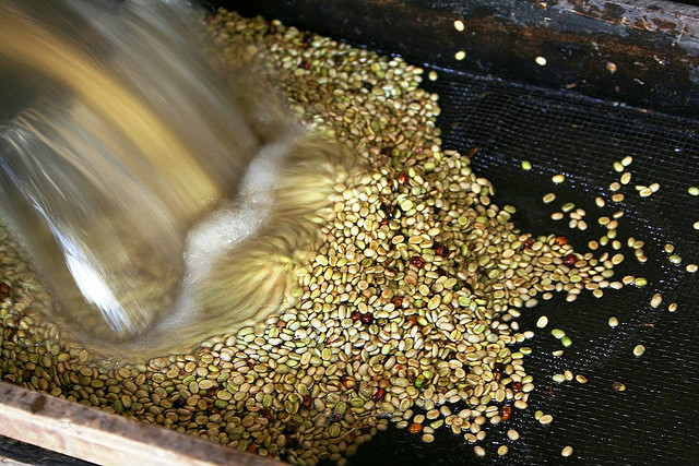 How to make coffee siphon coffee pot 90 + Ethiopian rosemary Qingfu water to wash Ethiopia