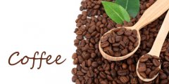 Introduction of Rosa Fine Coffee History of Rosa Coffee Flavor characteristics of Rosa Coffee