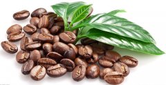 Introduction to the treatment of raw beans-- what is the washing method? How to deal with raw coffee beans