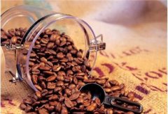 Indonesian Java Coffee Robusta Coffee Raw beans introduction to the History of Robusta Coffee beans Robbs