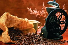 Costa Rica wants to further develop the Chinese coffee market, high-quality coffee bean suppliers