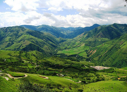 The ancestor of coffee in Central and South America, the most important coffee producing area in the world, the coffee consumed around the world.