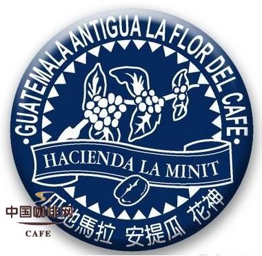 Guatemala Antigua Coffee Culture Guatemala's most expensive Coffee Buck Antigua Coffee