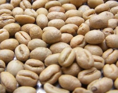 Raw beans Wholesale Price Papua New Guinea washing treatment Coffee Raw beans Chimeier Manor Round Bean Price