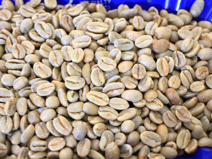 Boutique manor coffee raw bean price Colombia Huilan coffee bean original imported raw bean wholesale price