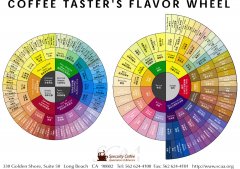 SCAA Coffee Flavor Round World Coffee Research Association WCR American Fine Coffee Association (SCAA)