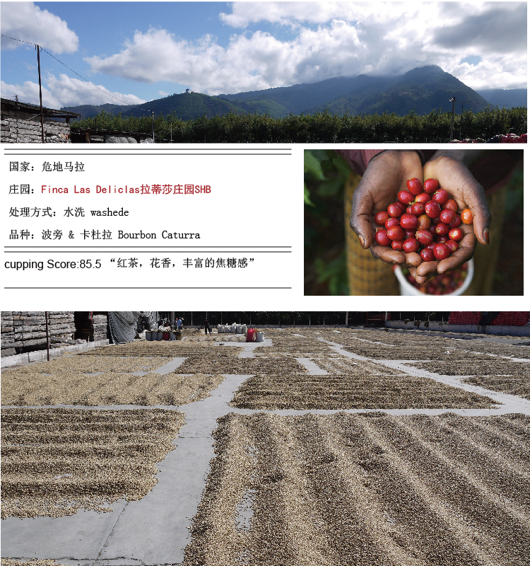 The processing of brown beans what is the semi-washing method what is the washing method and what is the drying method?